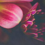 3738期最新开奖结果查询与中奖号码公布 2l9ku10322