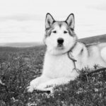 36选7最新开奖结果揭晓:幸运号码已公布 780yr