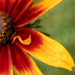 36选7开奖时间揭晓:今晚几点开奖最全解析 a6y9501bo