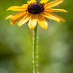 3749开奖结果最新公布,速看今日幸运号码! sx4sfu0c